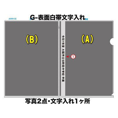 G-表面白帯文字入れ