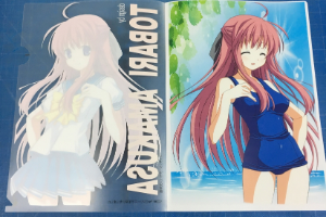 A4サイズ写真クリアファイル