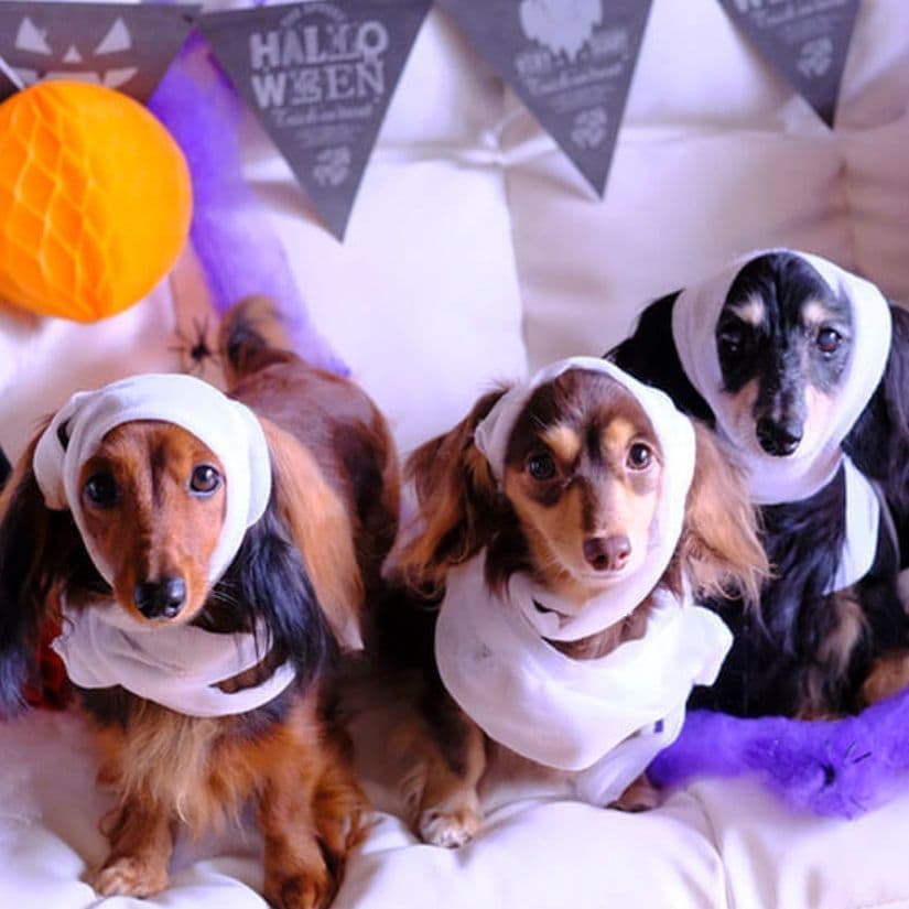 小さな伝票の整理に最適です