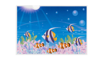 A4サイズ写真クリアファイル