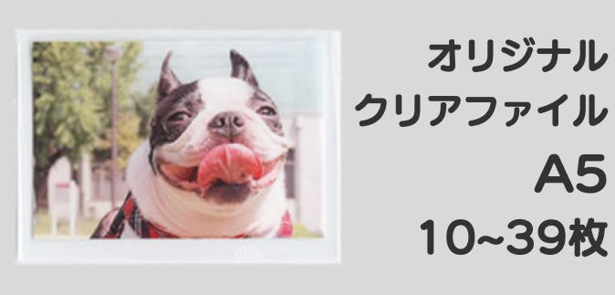 A5クリアファイル10-39