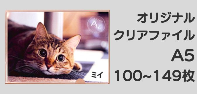 A5クリアファイル100-149