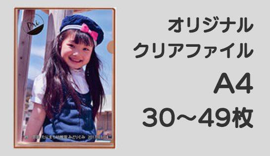 A4(30-49枚)