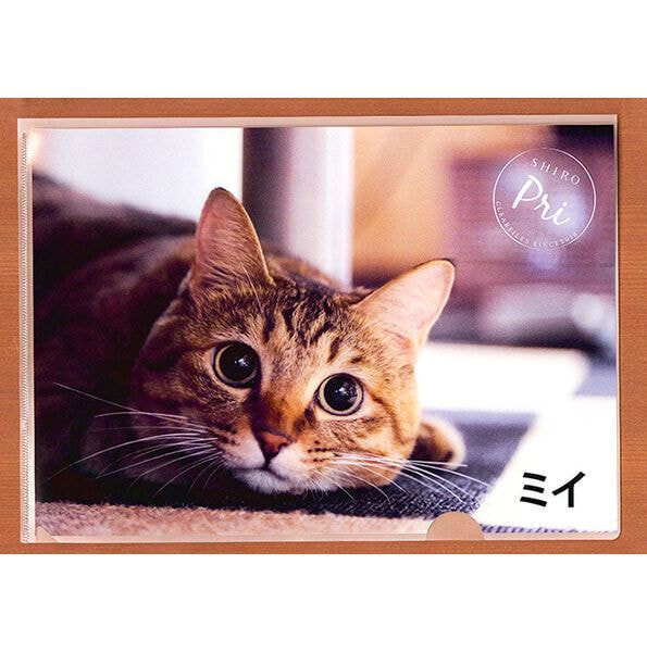 A5クリアファイル