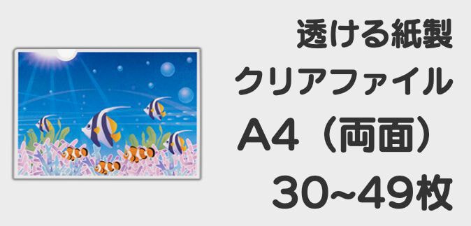 トレペ両面30-49