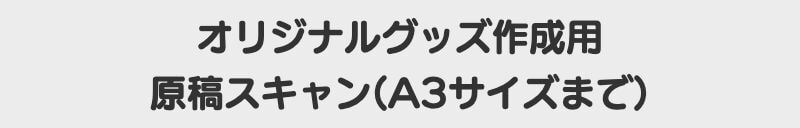 A3スキャン