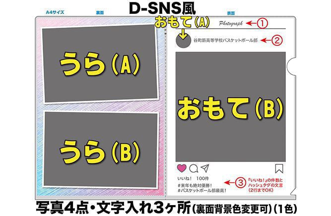 DSNS風